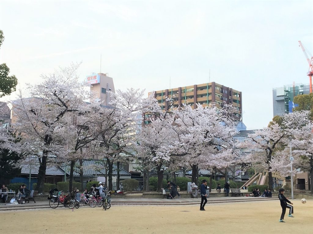 新卒入社dr成長レポート 3月 医療法人悠生会グループ 新卒 既卒採用のご案内